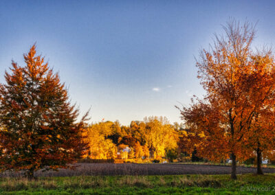 Herfst in jekerdal III